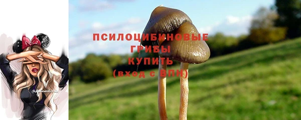 apvp Алексин