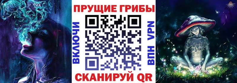 магазин    Беслан  Псилоцибиновые грибы мухоморы 