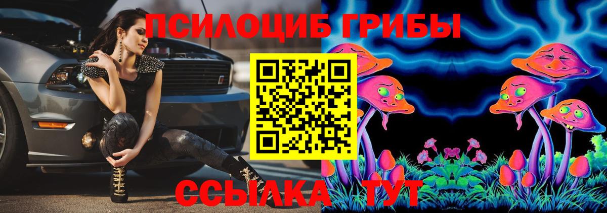 Галлюциногенные грибы MAGIC MUSHROOMS  Псилоцибиновые грибы Cubensis  даркнет сайт  Вход с VPN  Беслан 